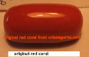 100% original red coral big sizes from orissagems.com