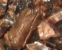 Fibrolite cat's eye rough from orissa gems