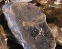 Fibrolite cat's eye rough from orissa gems