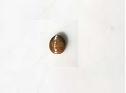 Chrysoberyl cat's eye, Orissa gems Exporters