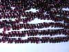 Garnet Drop Bead