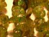 Faceted Amethyst, Orissa gems Exporters