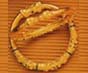 Gold Jewellery