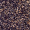 sapphirebrown