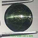 Actinolite cat's eye from orissa gems